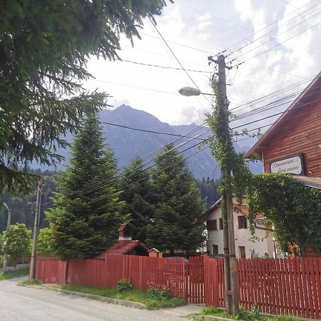 Pensiunea Fara Nume Buşteni Eksteriør bilde
